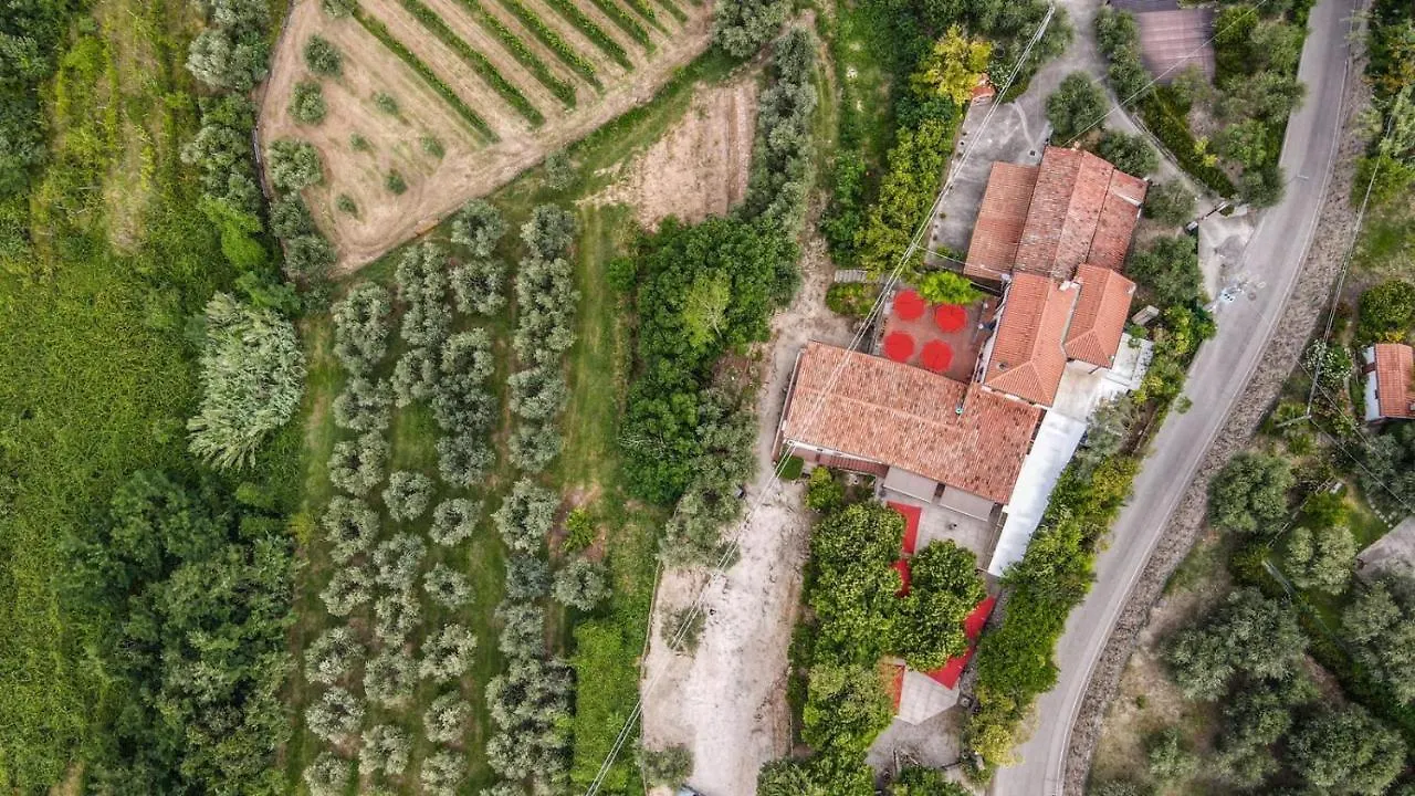 Tavern Di Arqua' Arqua Petrarca Πανδοχείο